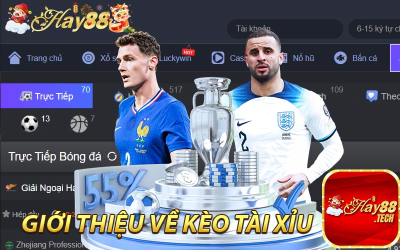 Giới thiệu về kèo tài xỉu Hay88